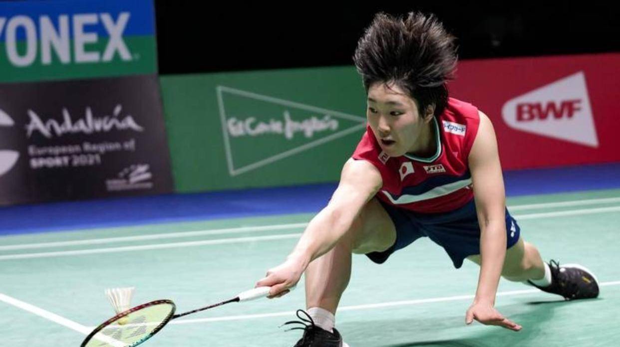 提供了宝贵 提供了宝贵