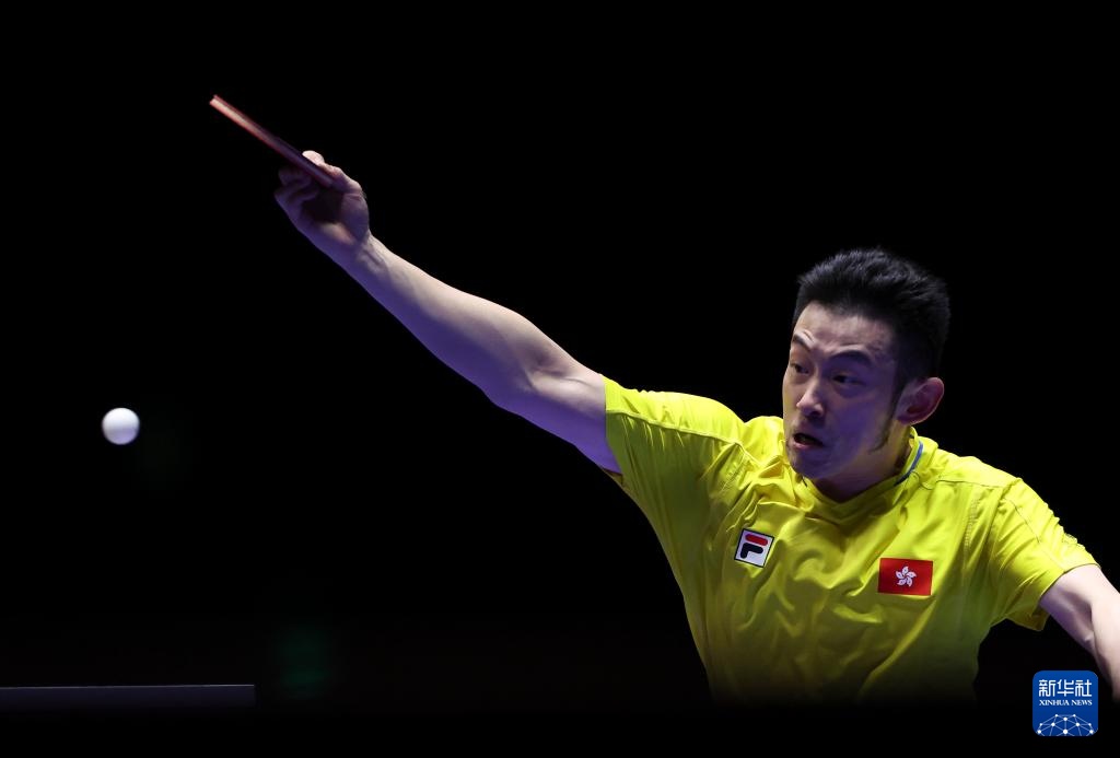 常规赛上表 常规赛上表