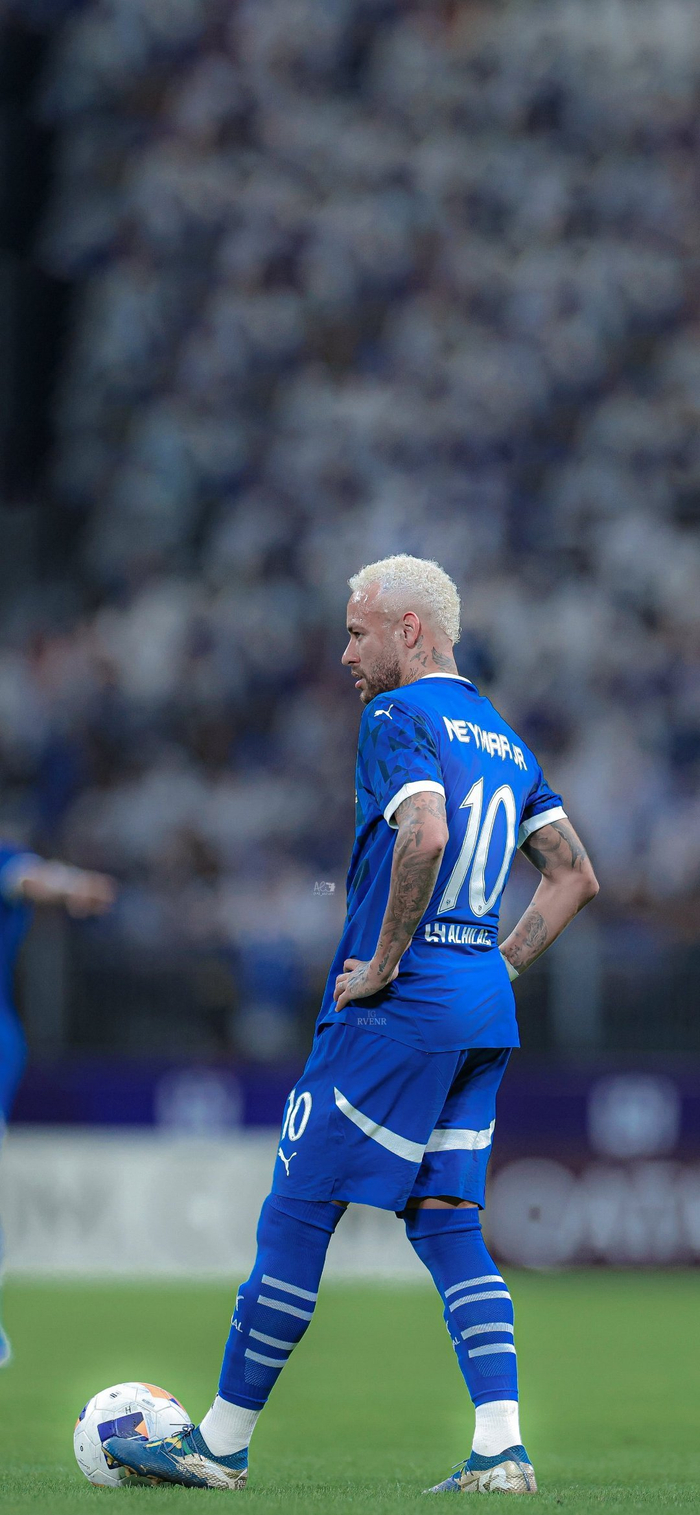 供了强大的 供了强大的