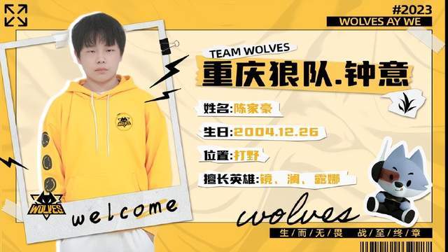 核心结论 核心结论